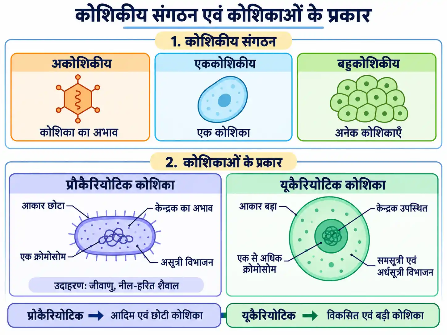 अकोशिकीय, एककोशिकीय, बहुकोशिकीय तथा प्रोकैरियोटिक और यूकैरियोटिक कोशिकाओं का तुलनात्मक चित्र